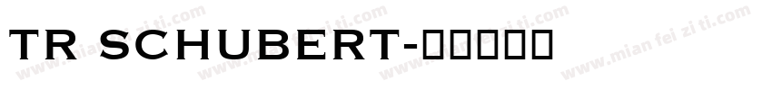 TR SCHUBERT字体转换